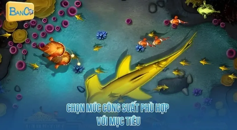 chon-muc-cong-suat-phu-hop-voi-muc-tieu