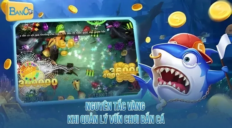 nguyen-tac-vang-khi-quan-ly-von-choi-ban-ca