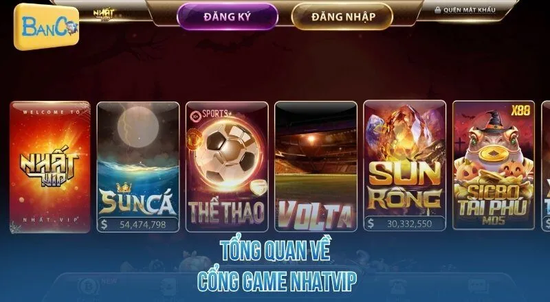 tong-quan-ve-cong-game-nhatvip
