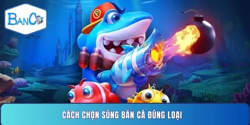 cach-chon-sung-ban-ca-dung-loai