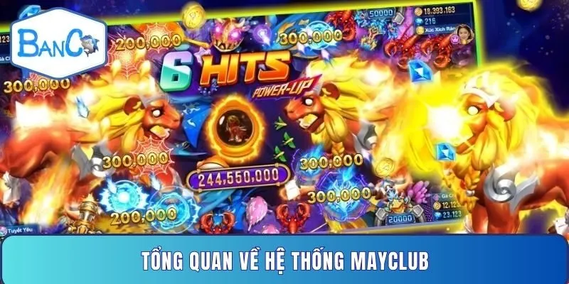 tong-quan-ve-he-thong-mayclub