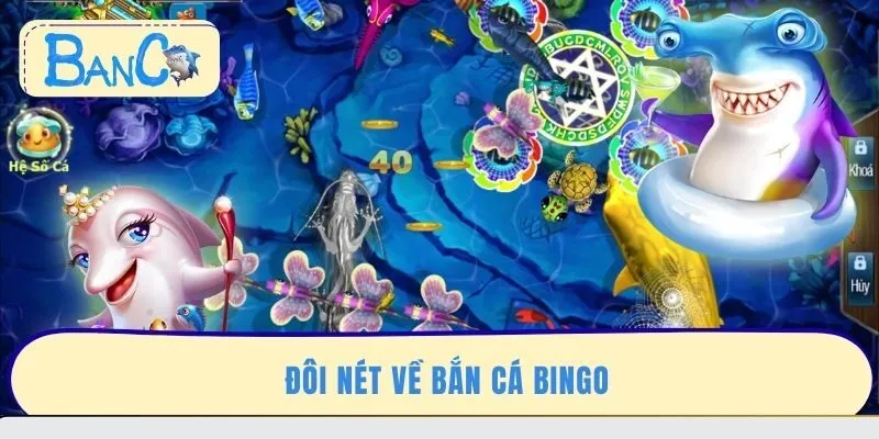 doi-net-ve-ban-ca-bingo
