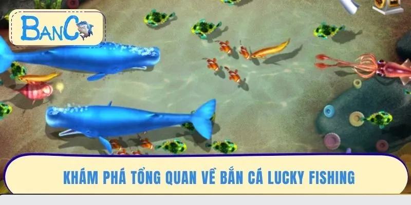 kham-pha-tong-quan-ve-ban-ca-lucky-fishing
