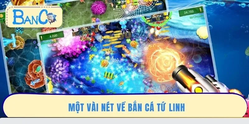 mot-vai-net-ve-ban-ca-tu-linh